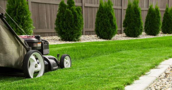 Professional Lawn Mowing and Edging Services