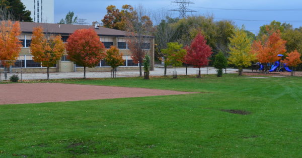 Lawn mowing in Glen Waverley