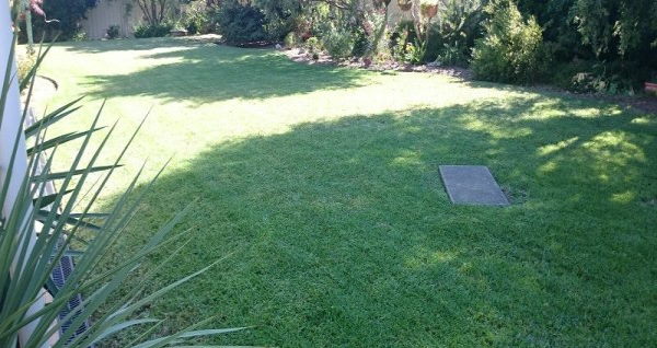 Lawn mowing in Glen Waverley