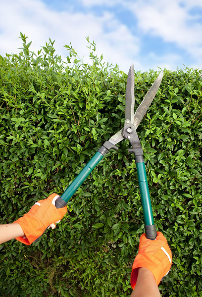 Industrial Gardening Maintenance Services