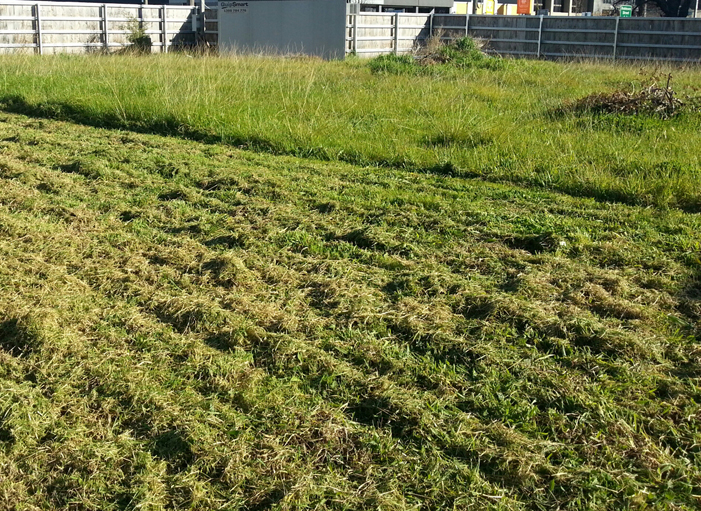 Lawn mowing and slashing in Glen Waverley